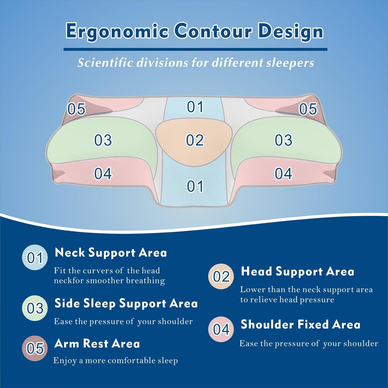 Ergonomic contour design illustration with labeled areas for different sleepers on a blue background.
